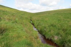 1_19.-Upstream-from-Exe-Bridge-10