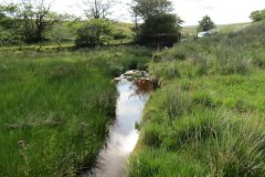 1_19.-Upstream-from-Exe-Bridge-11