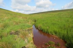 1_19.-Upstream-from-Exe-Bridge-12
