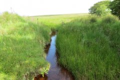 1_19.-Upstream-from-Exe-Bridge-13