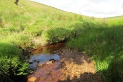 1_19.-Upstream-from-Exe-Bridge-14