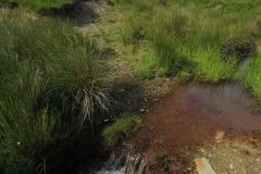 1_19.-Upstream-from-Exe-Bridge-4