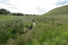1_19.-Upstream-from-Exe-Bridge-5