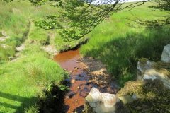 1_20.-Looking-upstream-from-Exe-bridge
