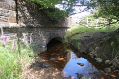 1_23.-Exe-Bridge-Downstream-Arch-2