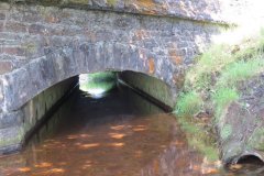 1_23.-Exe-Bridge-Downstream-Arch-4