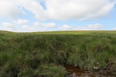 1_5.-Downstream-from-Exehead-1