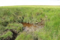 1_5.-Downstream-from-Exehead-2