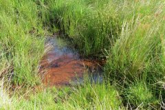 1_9.-Downstream-from-Exehead-2