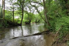 4-10-Downstream-from-Chilly-bridge