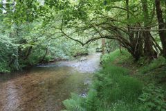 4-13-Downstream-from-Chilly-bridge