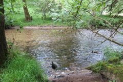 4-17-Downstream-from-Chilly-bridge