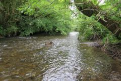 4-24-Downstream-from-Chilly-bridge