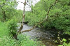 4-29-Downstream-from-Chilly-bridge