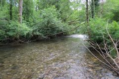 4-39-Downstream-from-Chilly-bridge
