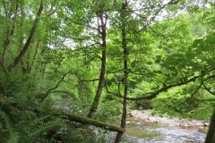 4-44-Downstream-from-Chilly-bridge