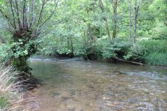 4-7-Downstream-from-Chilly-bridge