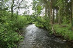 6.-Downstream-from-Hele-Bridge-14