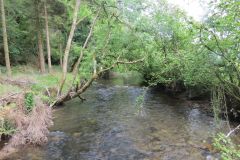 6.-Downstream-from-Hele-Bridge-15
