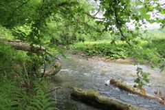 6.-Downstream-from-Hele-Bridge-24