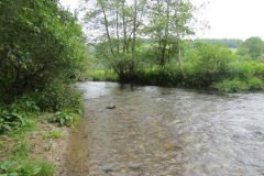 6.-Downstream-from-Hele-Bridge-5