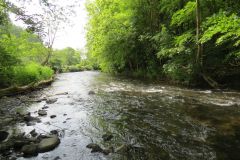 2.-Downstream-from-Weir-Bridge-10
