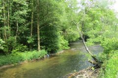 2.-Downstream-from-Weir-Bridge-13