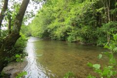 2.-Downstream-from-Weir-Bridge-14