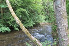 2.-Downstream-from-Weir-Bridge-15