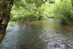 2.-Downstream-from-Weir-Bridge-3
