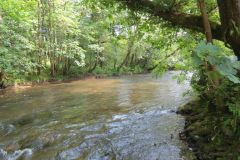 2.-Downstream-from-Weir-Bridge-4