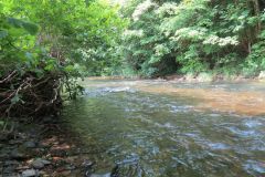 2.-Downstream-from-Weir-Bridge-5