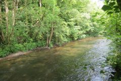 2.-Downstream-from-Weir-Bridge-6