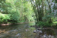 2.-Downstream-from-Weir-Bridge-8
