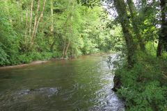 2.-Downstream-from-Weir-Bridge-9
