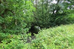 3.-River-Haddeo-joins-the-River-Exe-2