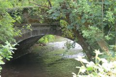 3.-River-Haddeo-joins-the-River-Exe-3