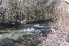 9.-Upstream-from-Perry-Bridge-1