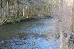 9.-Upstream-from-Perry-Bridge-5