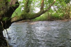 1.-Downstream-from-Perry-Bridge-1