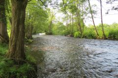 1.-Downstream-from-Perry-Bridge-14