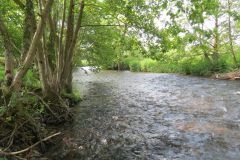 1.-Downstream-from-Perry-Bridge-16