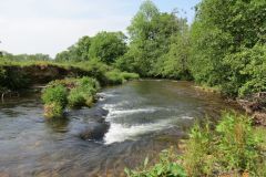 1.-Downstream-from-Perry-Bridge-27