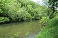 6.-Downstream-from-Exebridge-2
