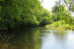 6.-Downstream-from-Exebridge-27