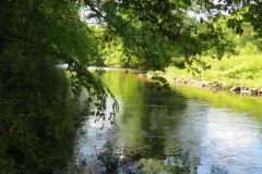 6.-Downstream-from-Exebridge-29