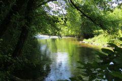 6.-Downstream-from-Exebridge-31