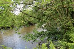 6.-Downstream-from-Exebridge-35