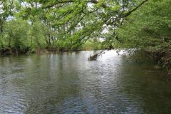 6.-Downstream-from-Exebridge-37