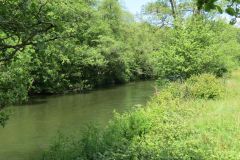 2.-Downstream-from-Highleigh-Bridge.-15